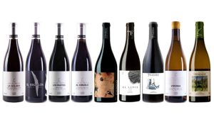 bodega Suertes del Marqués