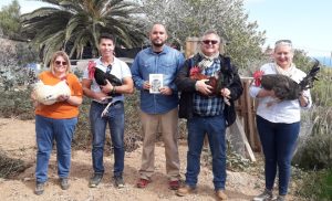 Gallina Campera Canaria