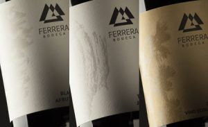 Mejor Vino de Canarias
