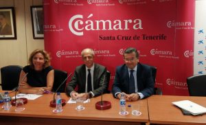 Boletín de Situación Económica