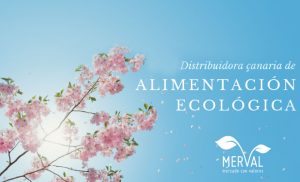 Merval
