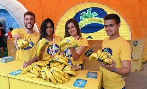 Plátano de Canarias