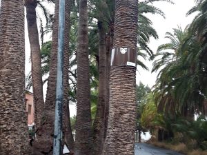 Palm Protection System