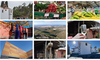 Tenerife GastroWine Tours