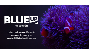 BlueUp